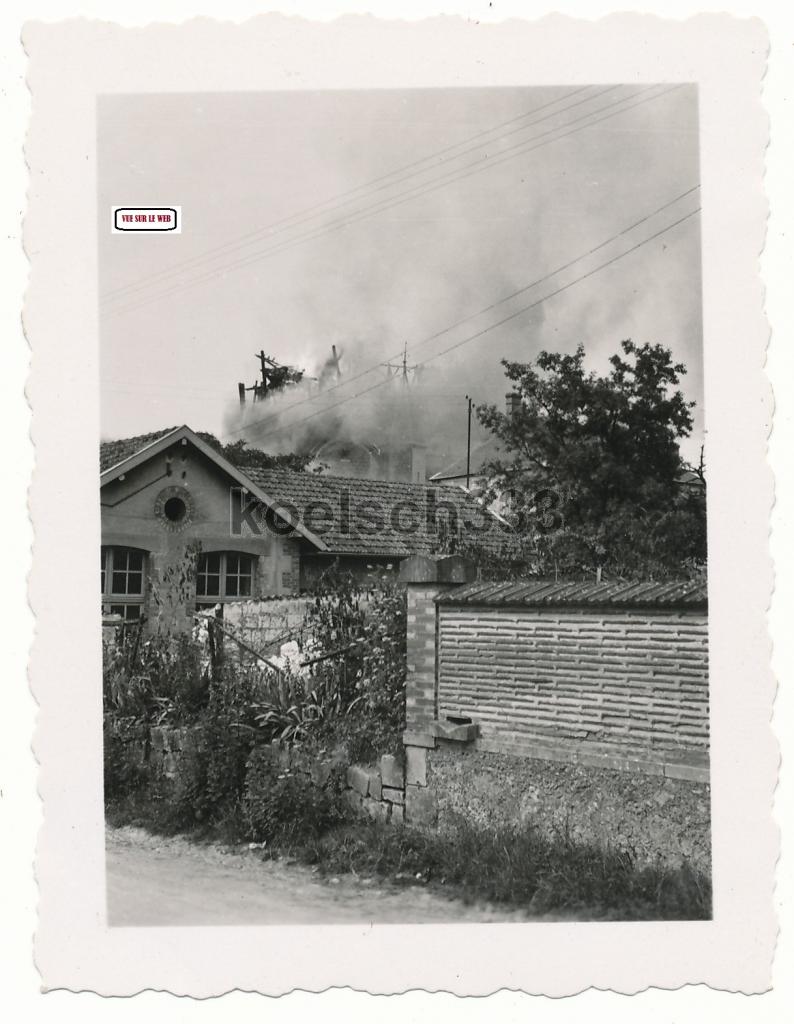 pogny3