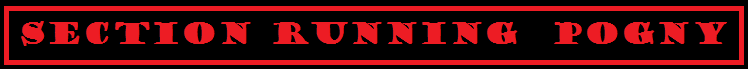 Bandeau running pogny