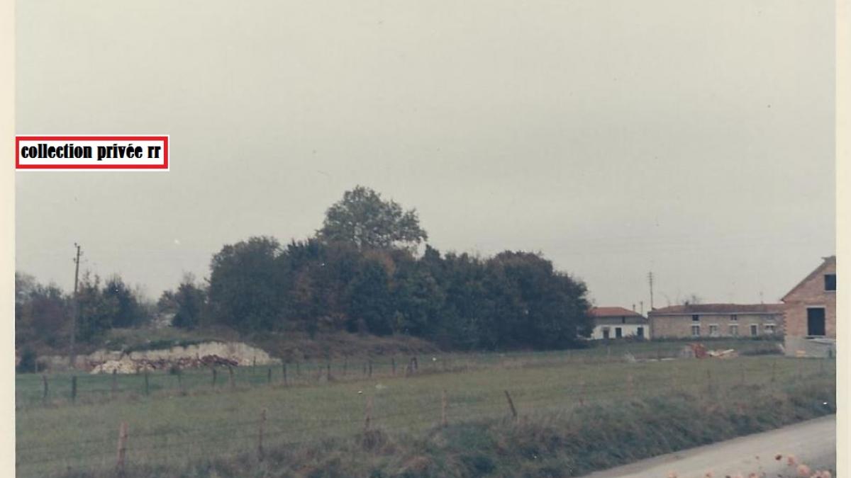 rue dauphin  à pogny 51240